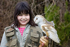 Owl sanctuary 