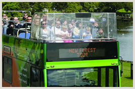 Bus Tours