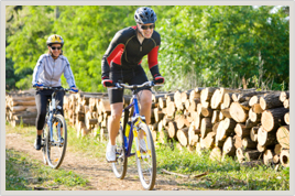 New Forest Cycle